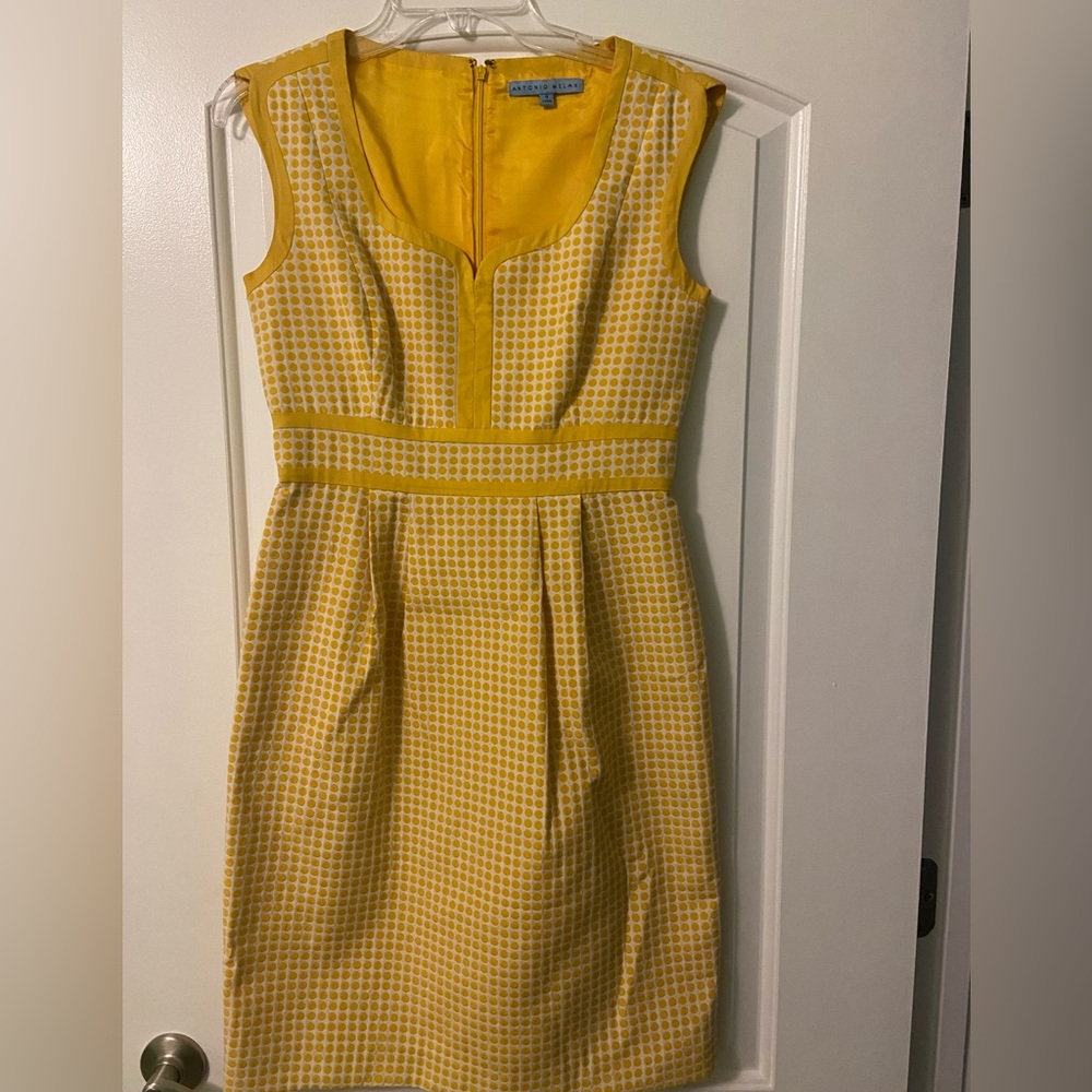 Antonio Melani dress